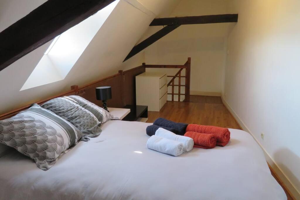 Loft De 53 M2 Centre Ville Blois,Tv Bagian luar foto